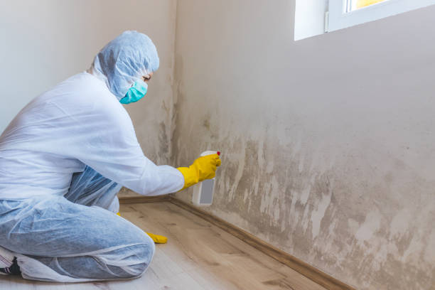 Crawl Space Mold Remediation treatment of floor joists in Decatur